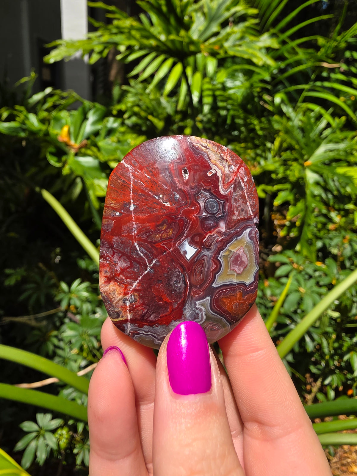 Red Crazy Lace Agate Palm Stone • Option HH