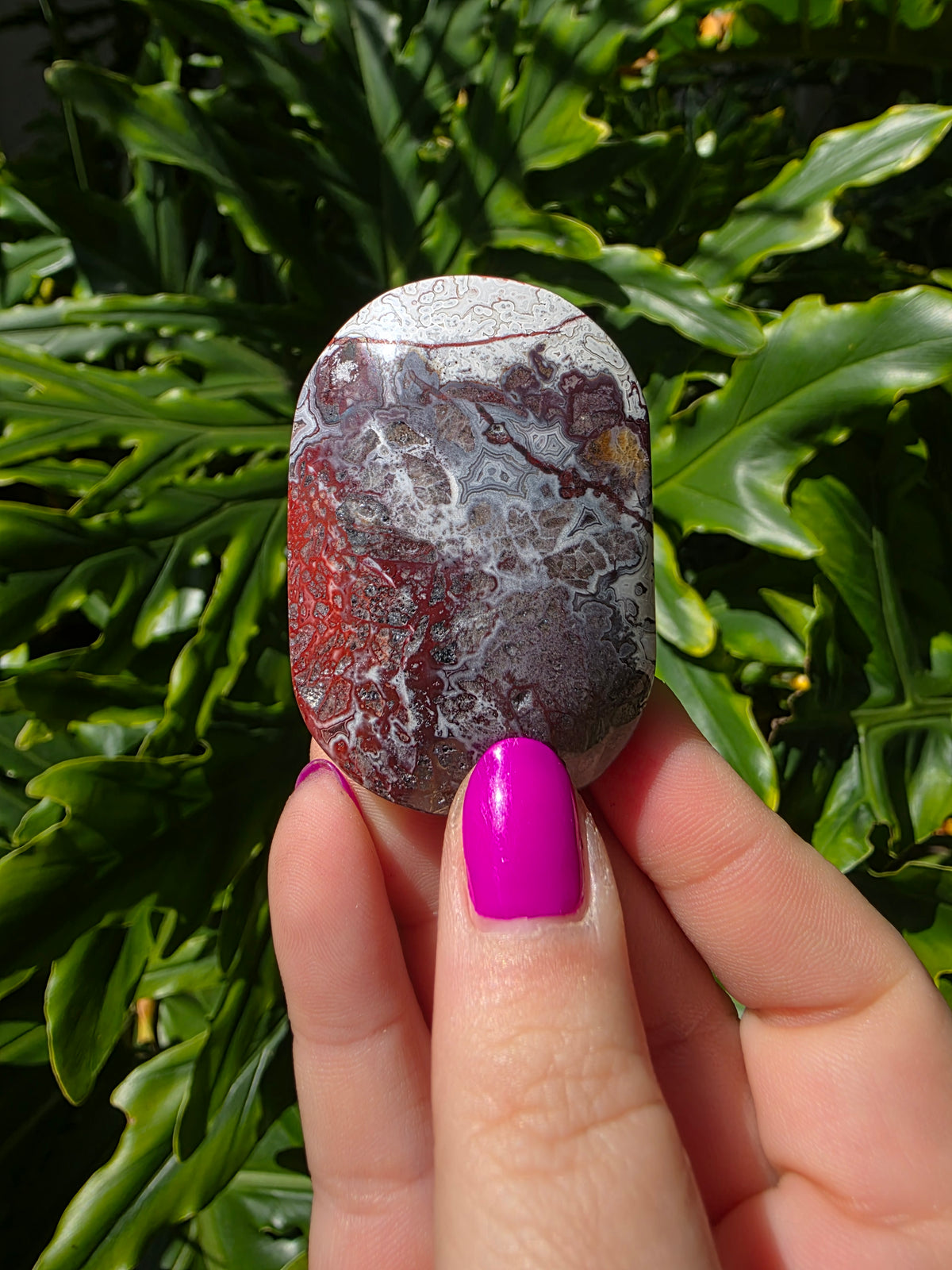 Red Crazy Lace Agate Palm Stone • Option II