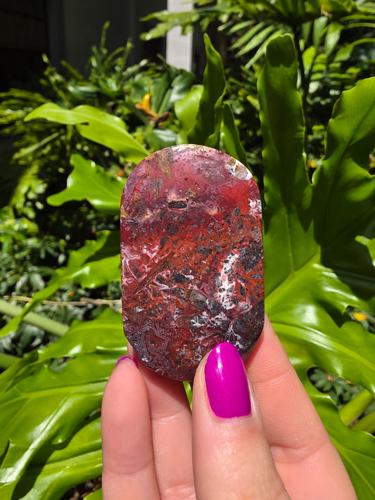 Red Crazy Lace Agate Palm Stone • Option K