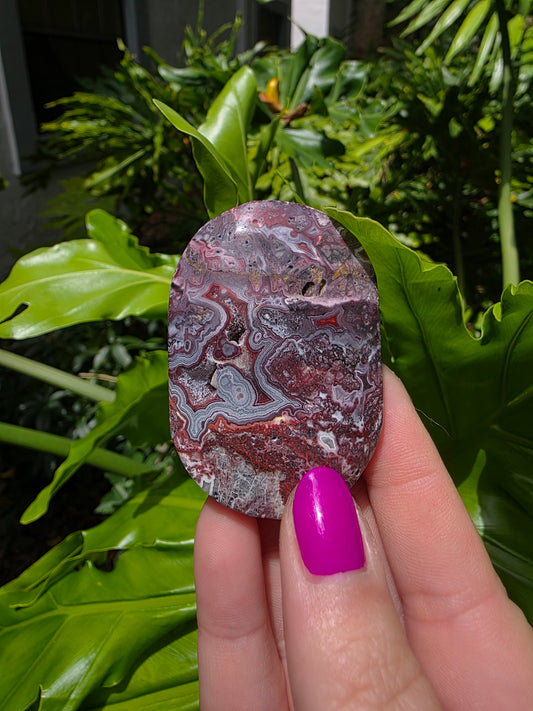Red Crazy Lace Agate Palm Stone • Option L