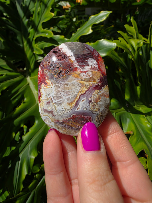 Red Crazy Lace Agate Palm Stone • Option MM