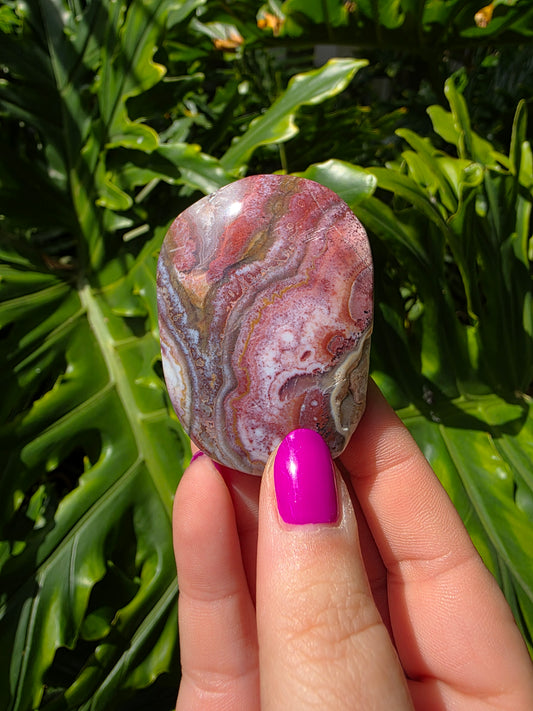 Red Crazy Lace Agate Palm Stone • Option NN