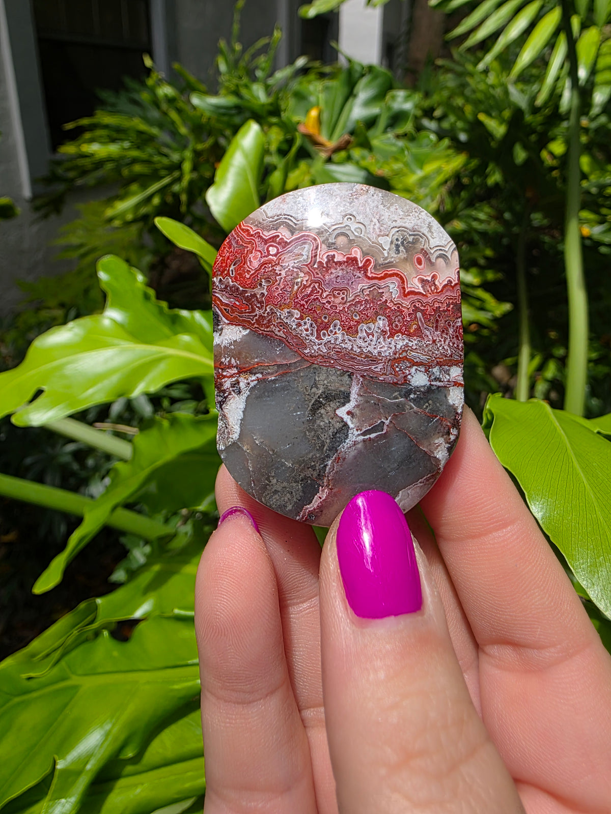 Red Crazy Lace Agate Palm Stone • Option O