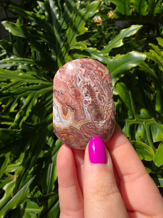 Red Crazy Lace Agate Palm Stone • Option OO