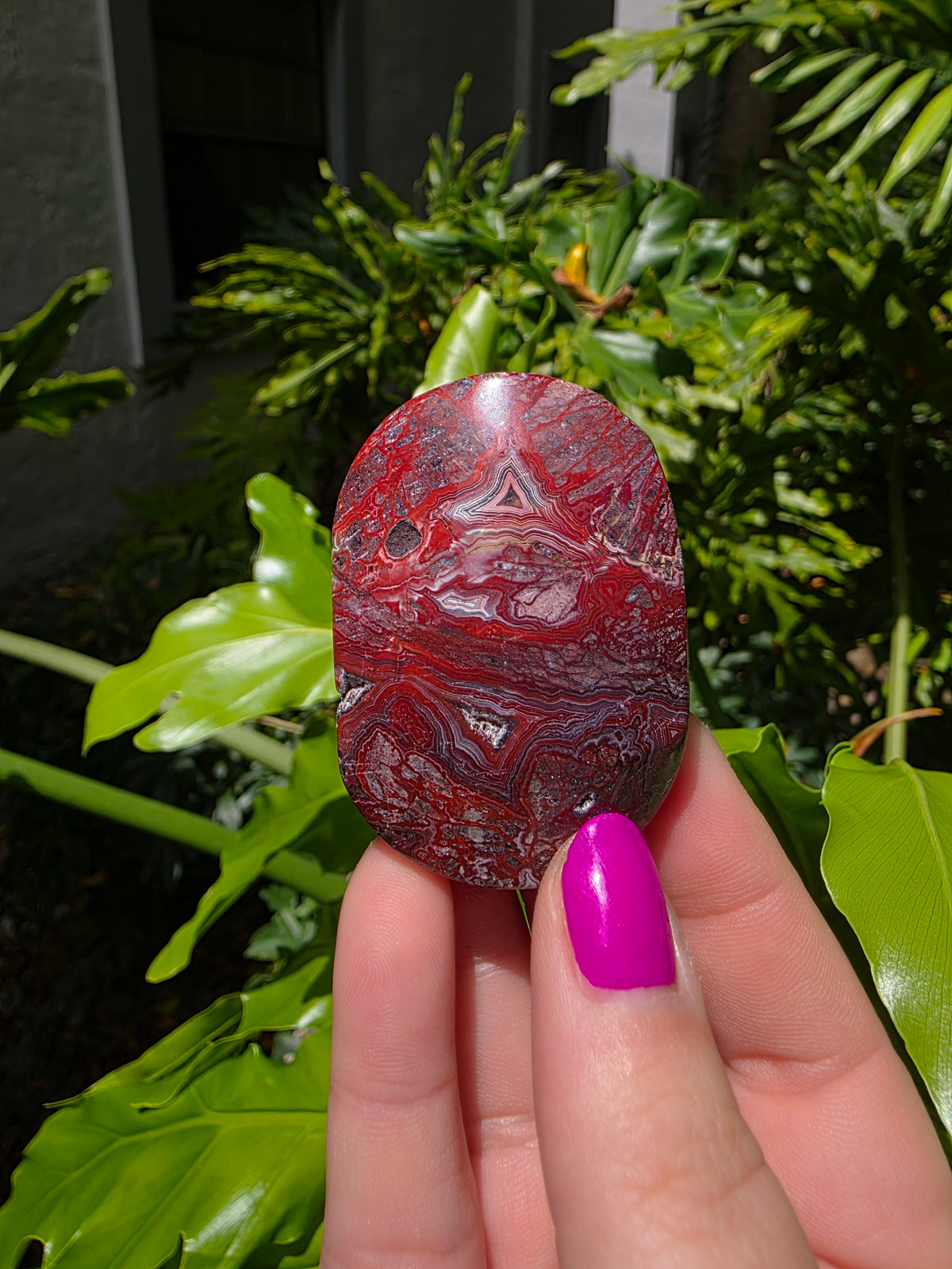 Red Crazy Lace Agate Palm Stone • Option Q