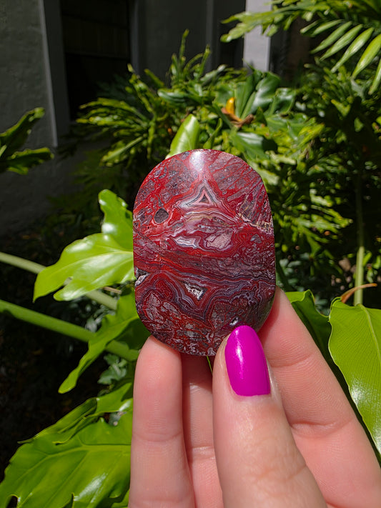 Red Crazy Lace Agate Palm Stone • Option Q
