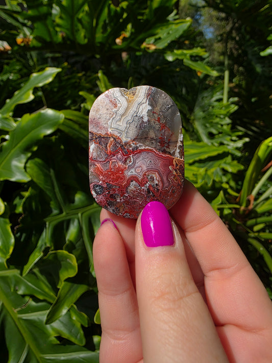 Red Crazy Lace Agate Palm Stone • Option QQ