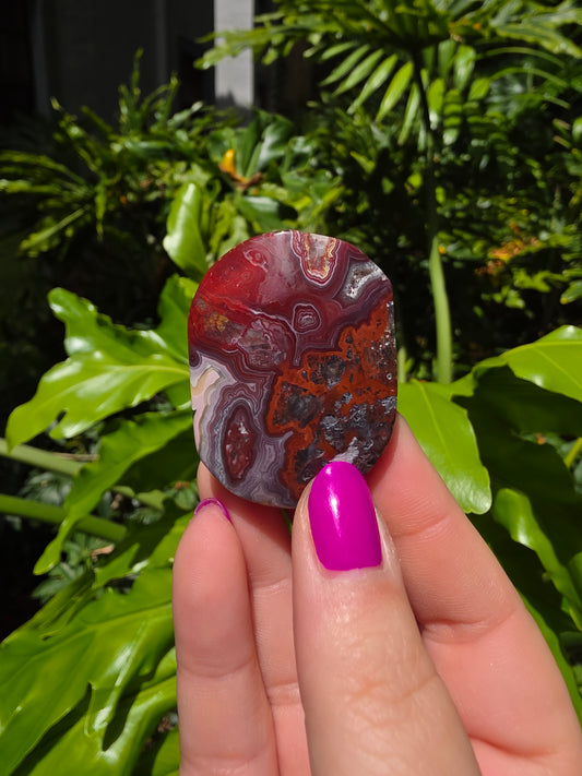Red Crazy Lace Agate Palm Stone • Option W