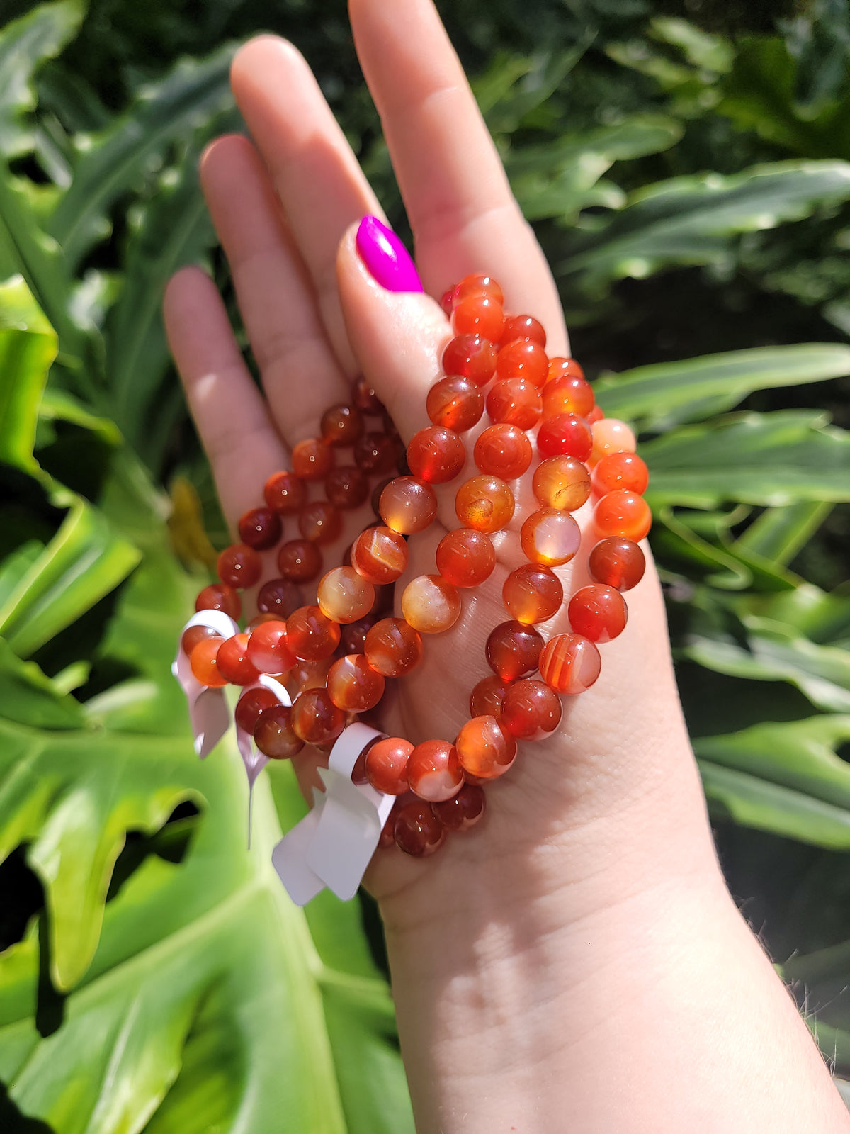 Red Carnelian Beaded Bracelet • 8mm