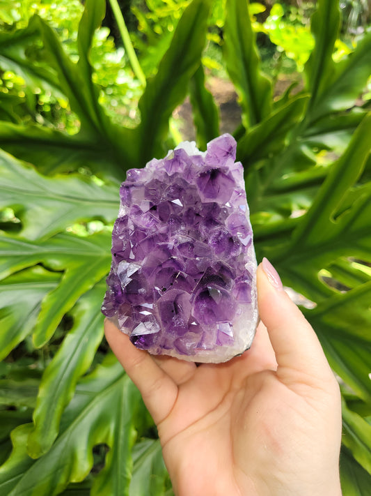 Amethyst Cut Base in Basalt Wall