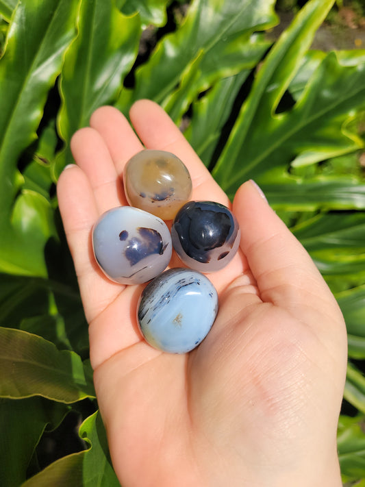 Dendritic Agate Mini Spheres