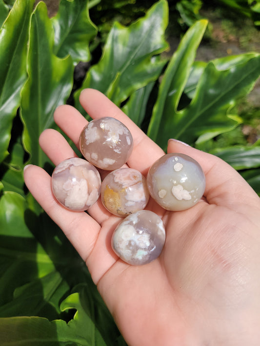 Flower Agate Mini Spheres