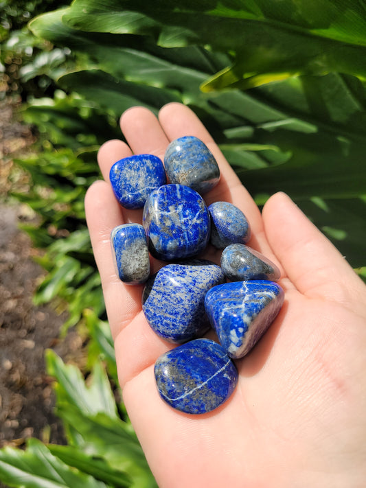 Lapis Lazuli Tumbles