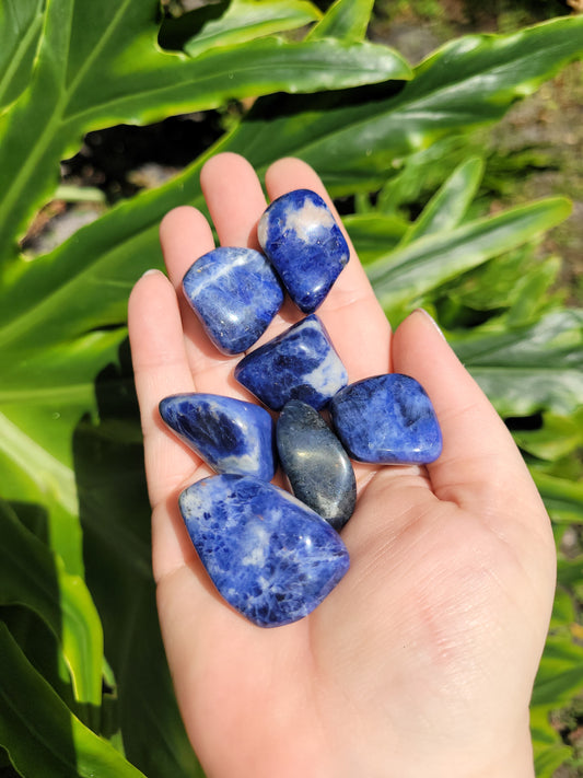 Sodalite Tumbles [Grade A]