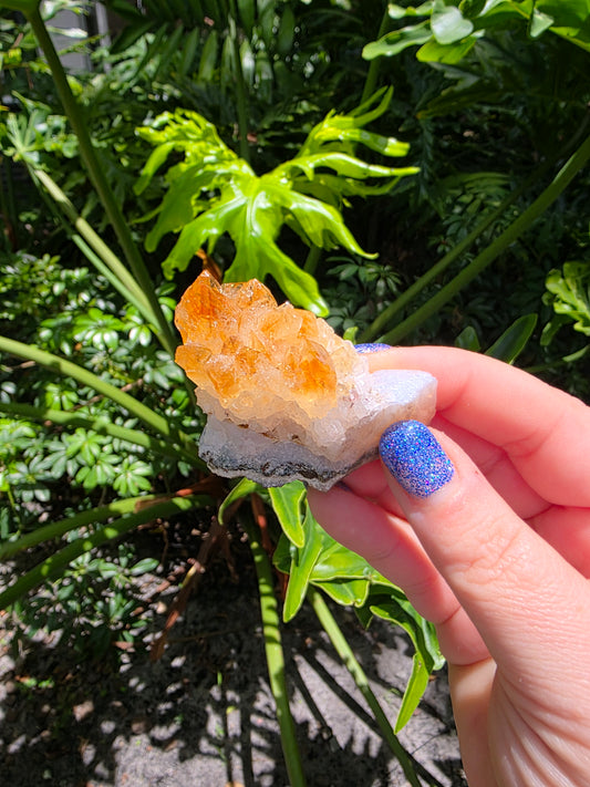 Citrine Clusters on Quartz Matrix | Heat-Treated [A]