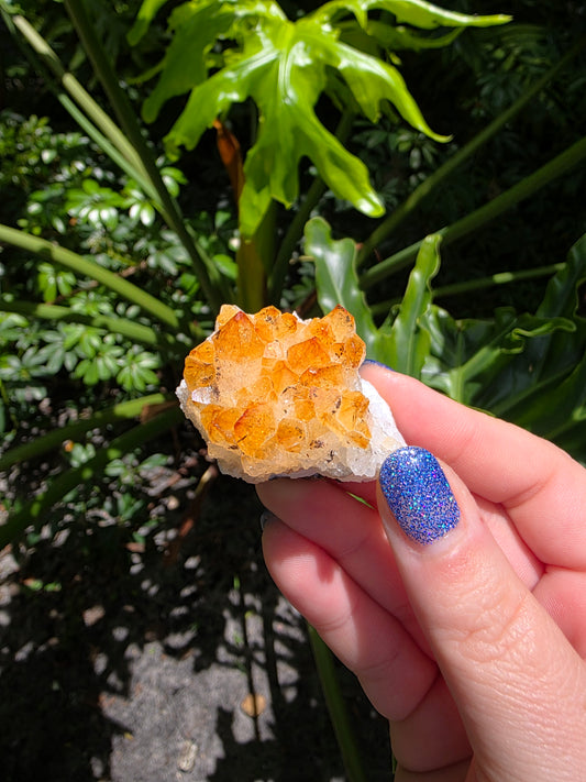 Citrine Clusters on Quartz Matrix | Heat-Treated [B]