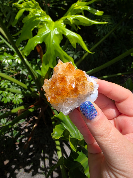 Citrine Clusters on Quartz Matrix | Heat-Treated [C]