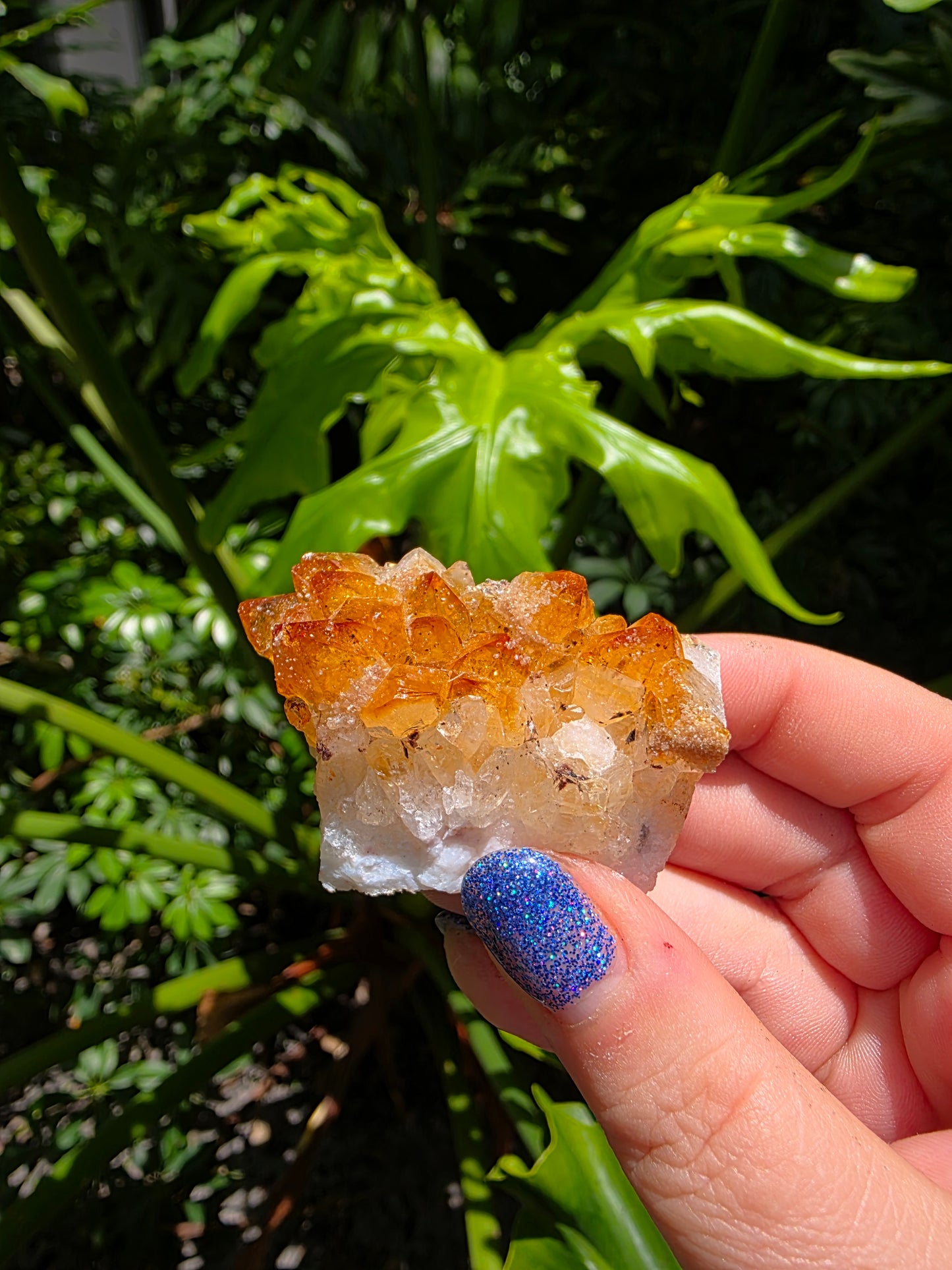 Citrine Clusters on Quartz Matrix | Heat-Treated [D]