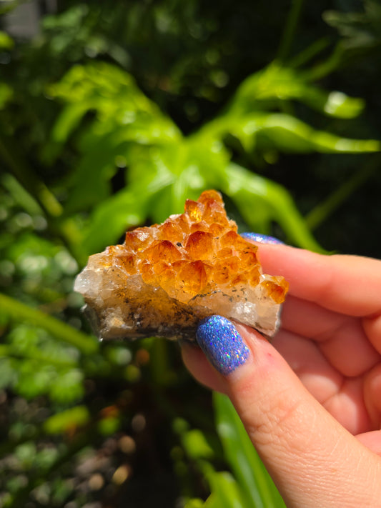 Citrine Clusters on Quartz Matrix | Heat-Treated [E]