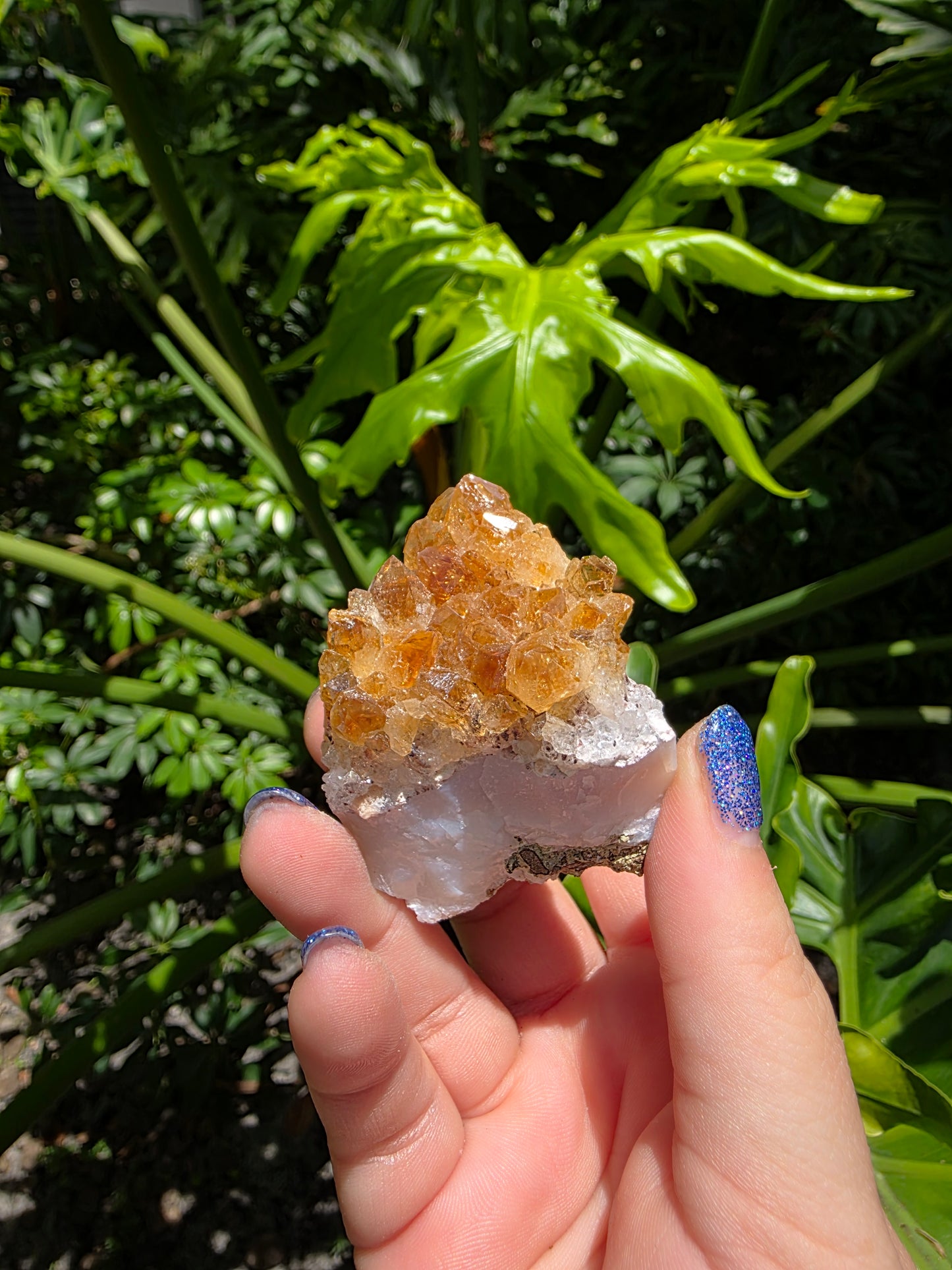 Citrine Clusters on Quartz Matrix | Heat-Treated [F]