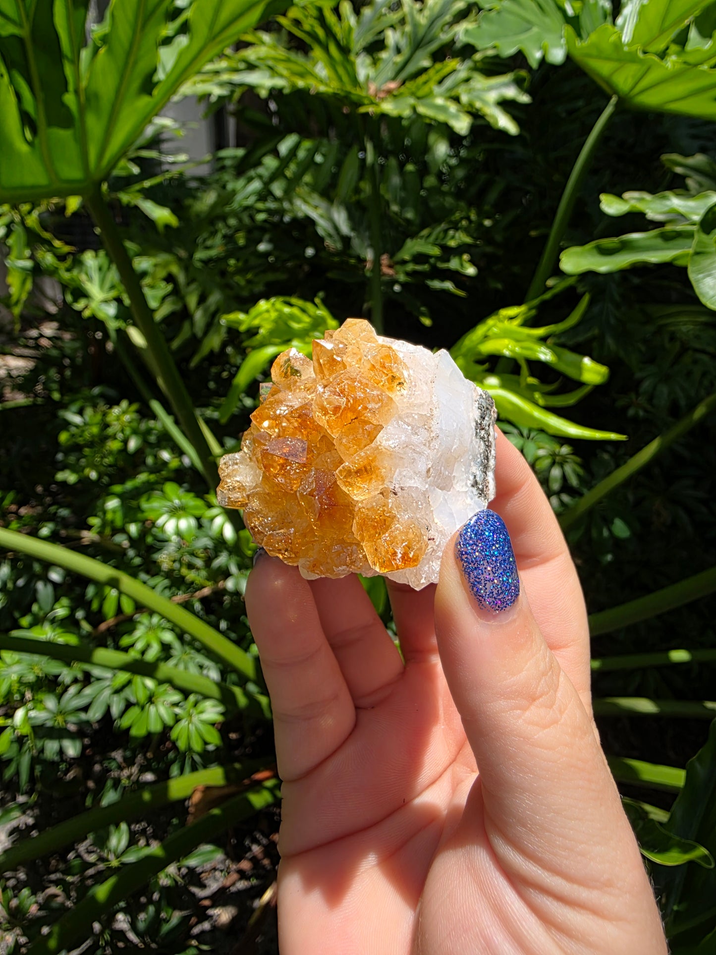Citrine Clusters on Quartz Matrix | Heat-Treated [G]