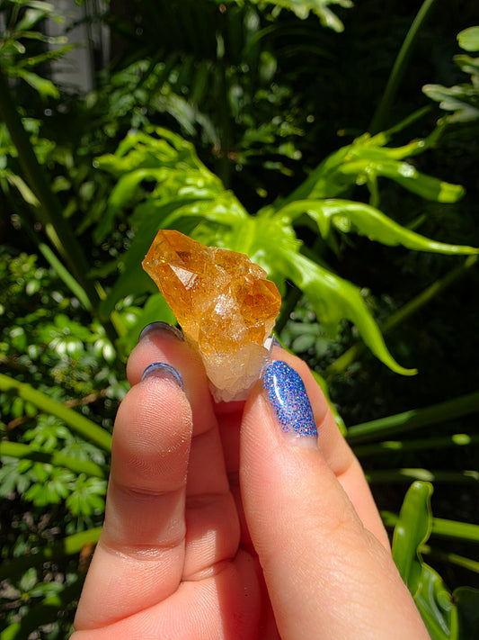 Citrine Clusters on Quartz Matrix | Heat-Treated [H]
