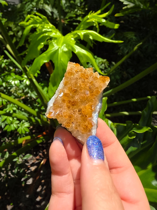 Citrine Clusters on Quartz Matrix | Heat-Treated [I]