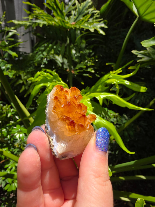Citrine Clusters on Quartz Matrix | Heat-Treated [J]