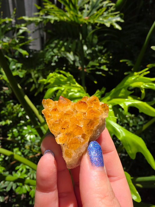 Citrine Clusters on Quartz Matrix | Heat-Treated [K]