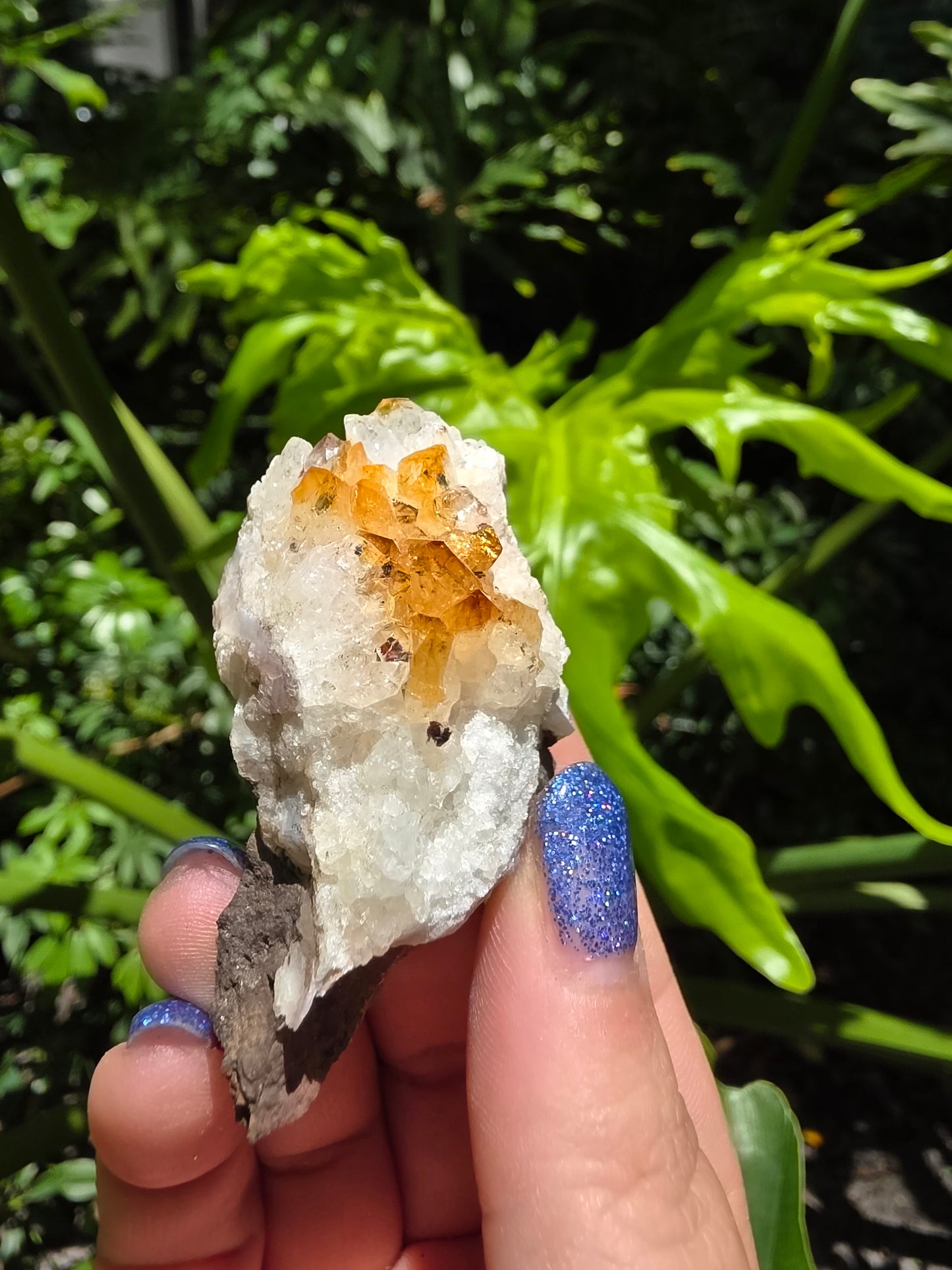 Citrine Clusters on Quartz Matrix | Heat-Treated [L]
