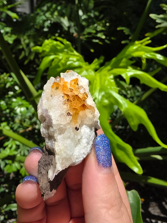 Citrine Clusters on Quartz Matrix | Heat-Treated [L]