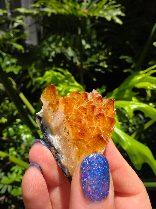 Citrine Clusters on Quartz Matrix | Heat-Treated [M]