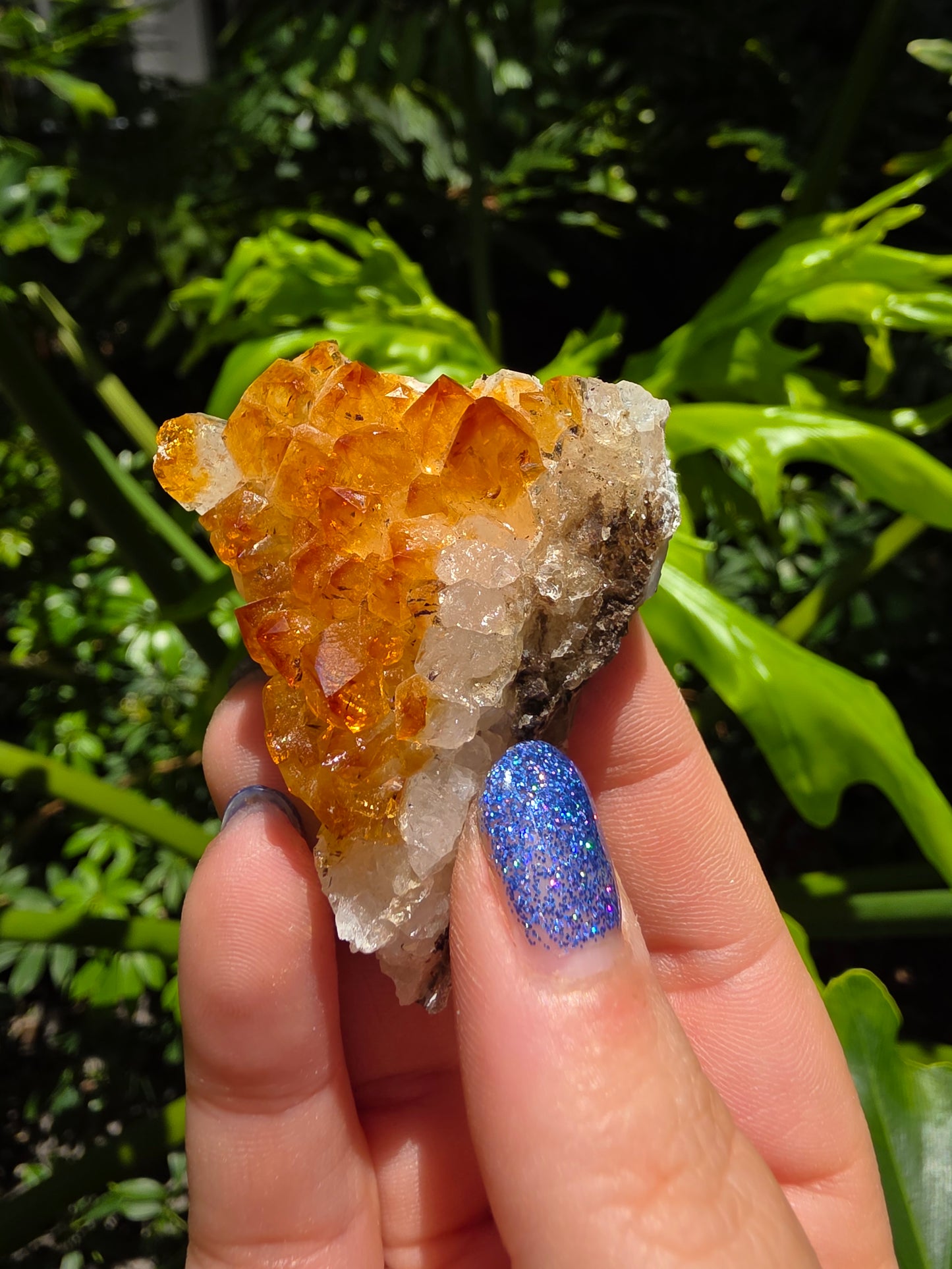 Citrine Clusters on Quartz Matrix | Heat-Treated [N]
