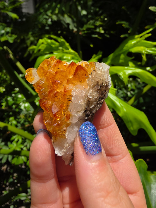 Citrine Clusters on Quartz Matrix | Heat-Treated [N]