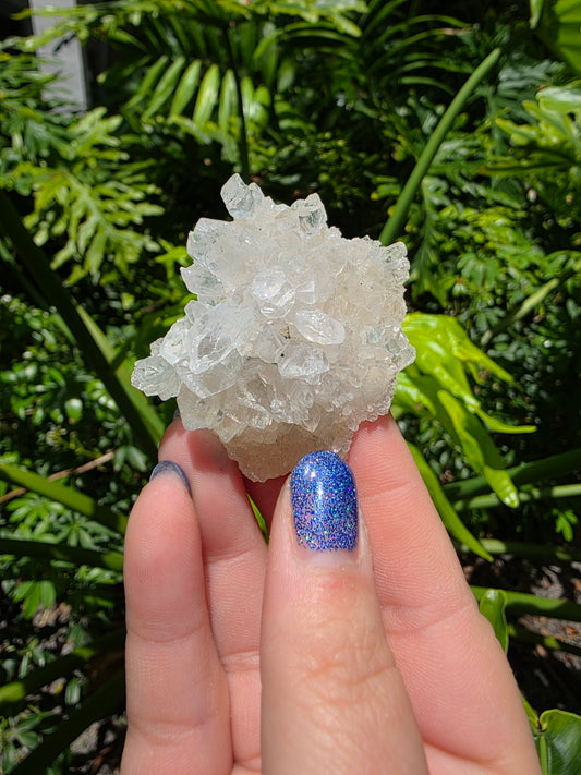 Zeolite Clusters [D]