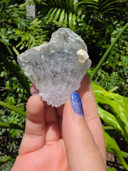 Zeolite Clusters [L]
