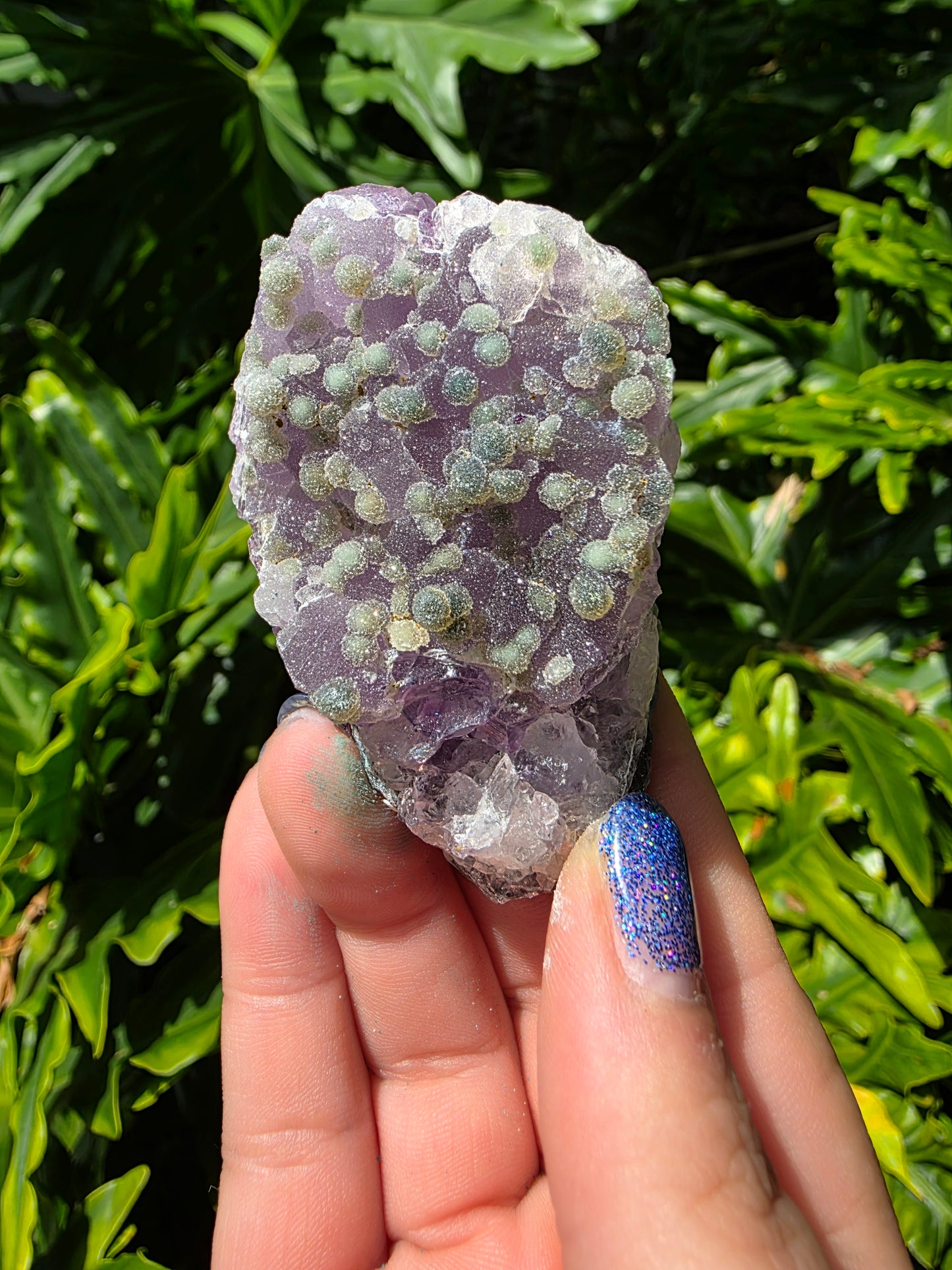 Zeolite Clusters [O]