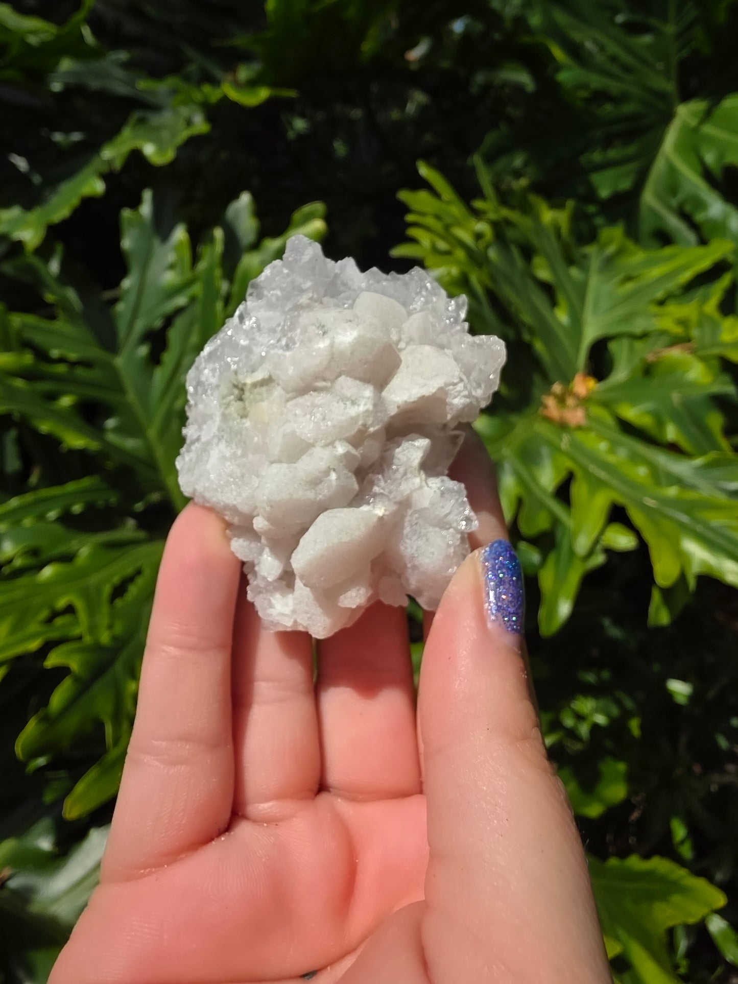 Zeolite Clusters [X]