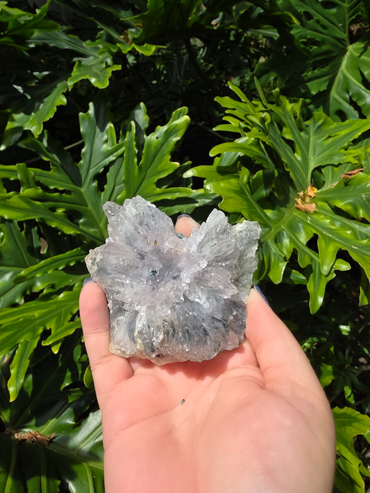 Zeolite Clusters [Y]