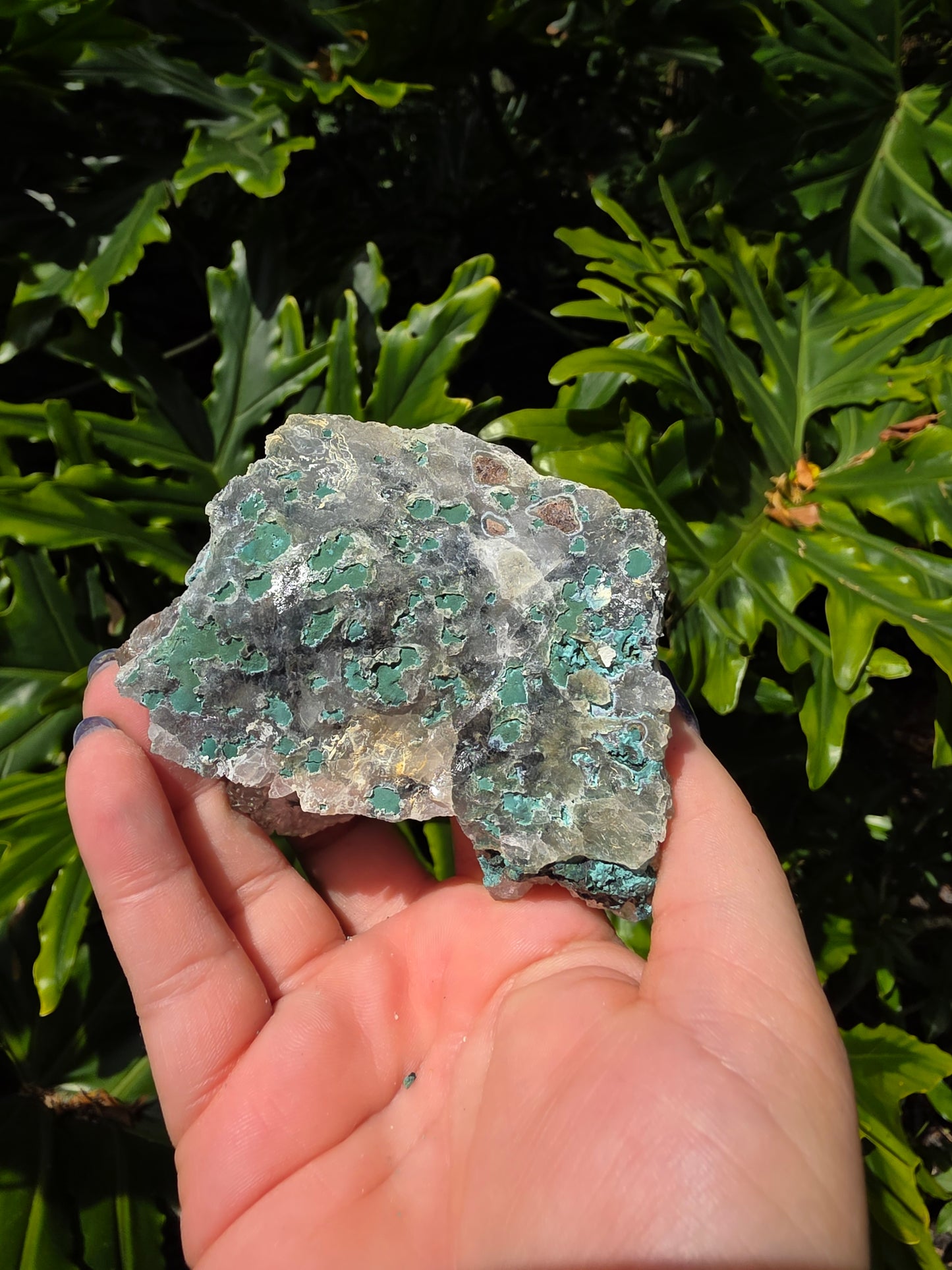 Zeolite Clusters [Y]