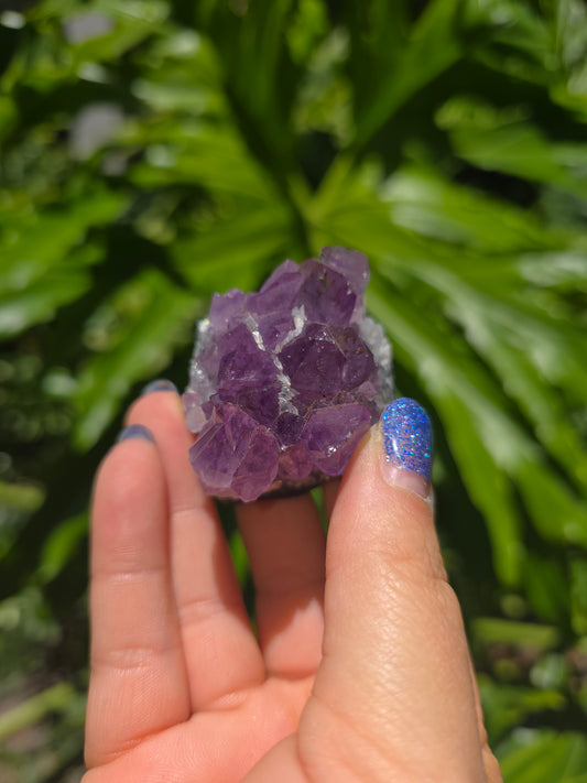 Amethyst Clusters on Quartz Matrix [A]