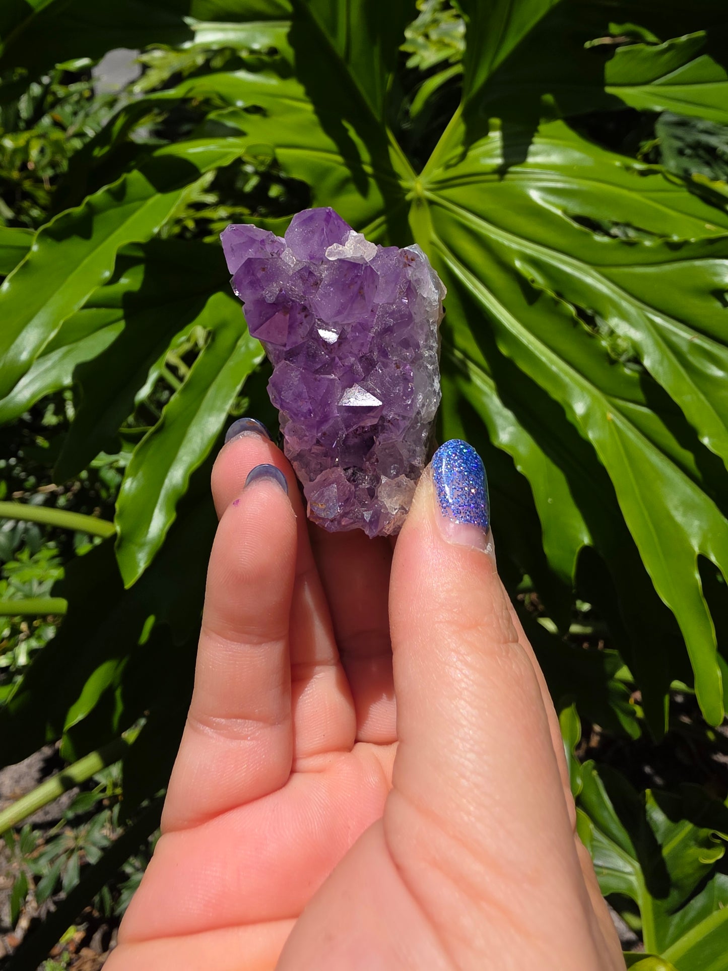 Amethyst Clusters on Quartz Matrix [B]