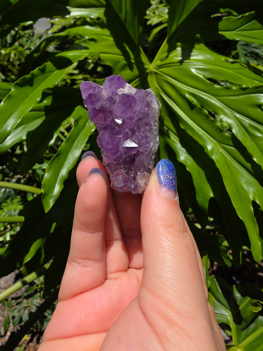 Amethyst Clusters on Quartz Matrix [B]