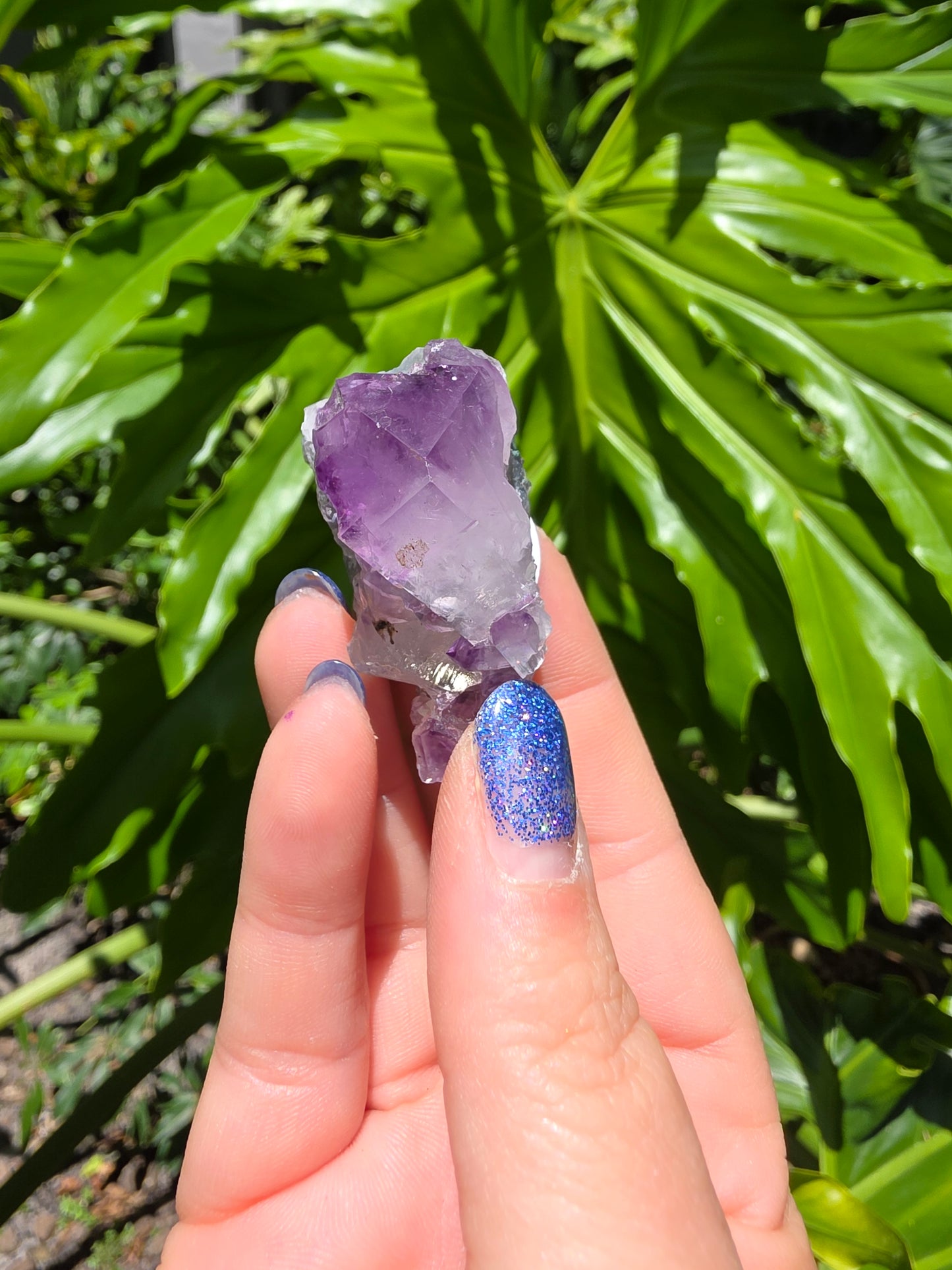 Amethyst Clusters on Quartz Matrix [C]