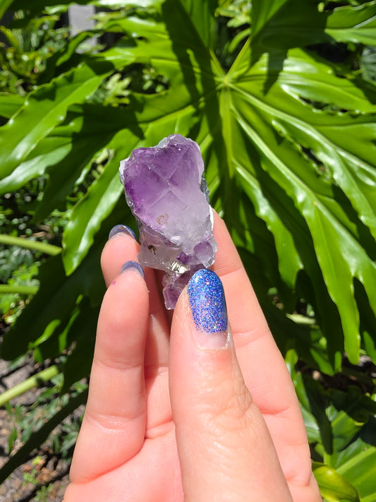 Amethyst Clusters on Quartz Matrix [C]