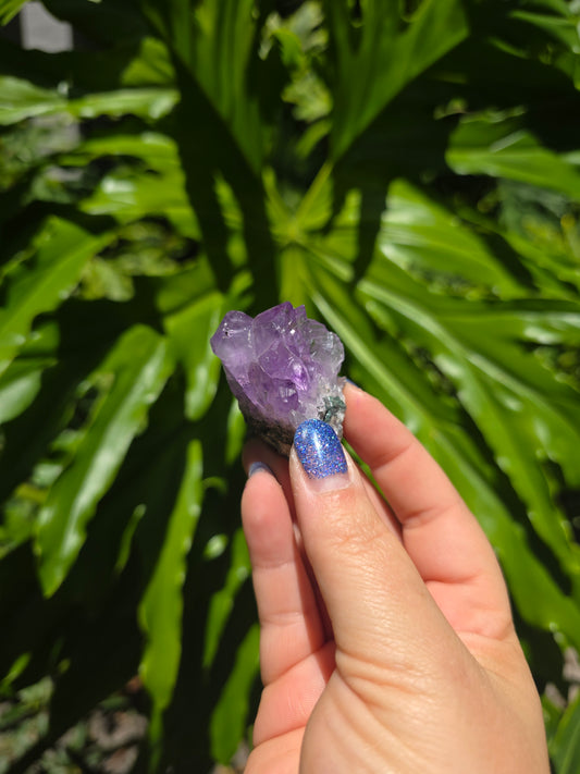 Amethyst Clusters on Quartz Matrix [D]