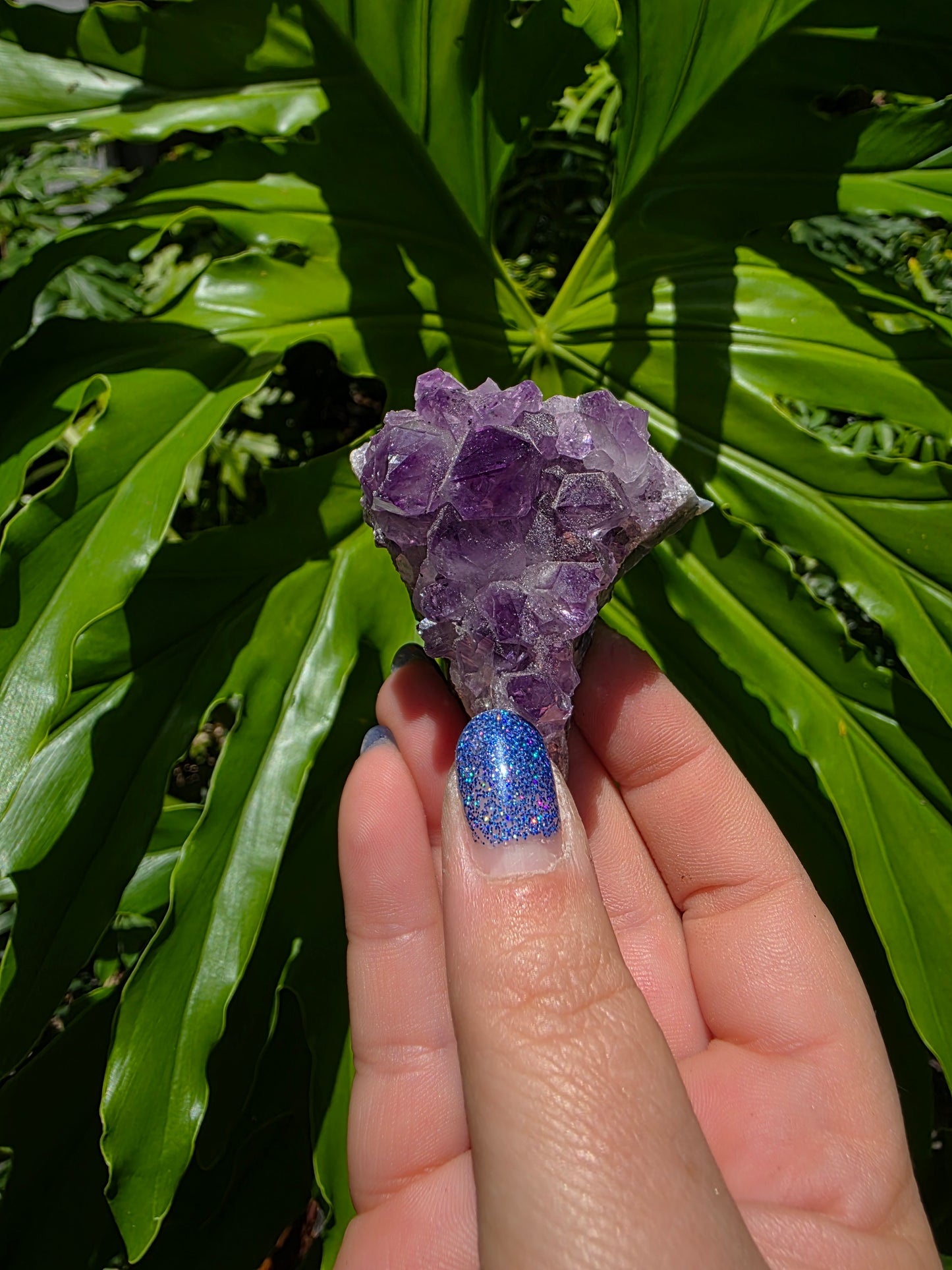 Amethyst Clusters on Quartz Matrix [E]