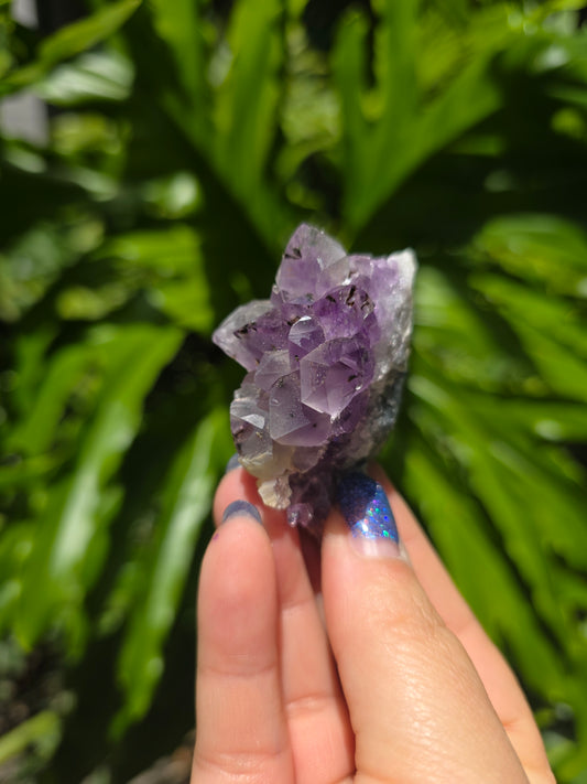 Amethyst Clusters on Quartz Matrix [F]
