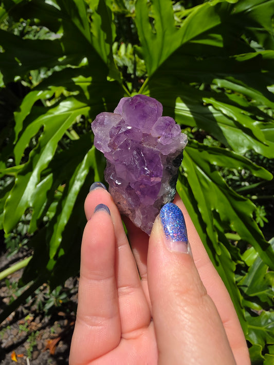 Amethyst Clusters on Quartz Matrix [G]
