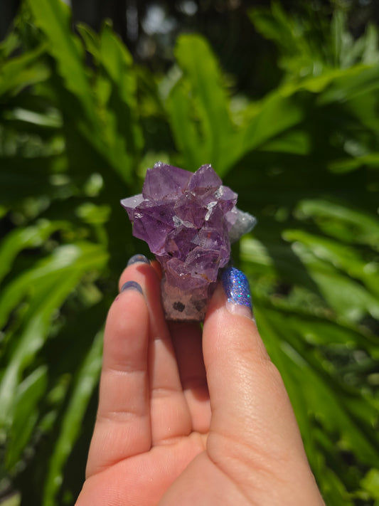 Amethyst Clusters on Quartz Matrix [H]
